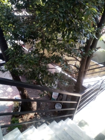Stairs to the apartment - Villa Mattancherry, Kochi