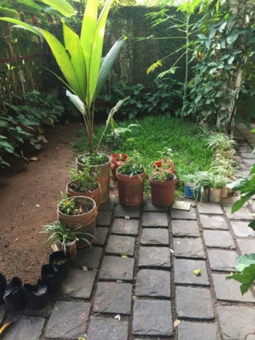 Front Yard - Nathan's Holiday Home, Homestay in Fort Kochi
