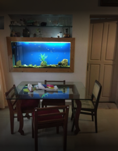 Dining Area - Nathans Holiday Home, Homestay in Fort Kochi