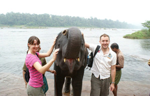 kodanad elephant center kerala