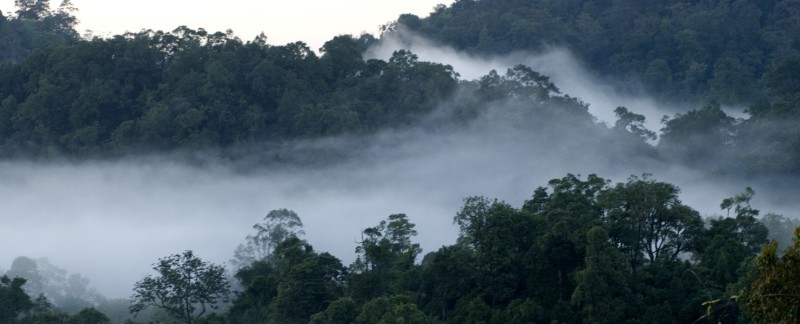 nelliampathy hill station, palakkad, kerala